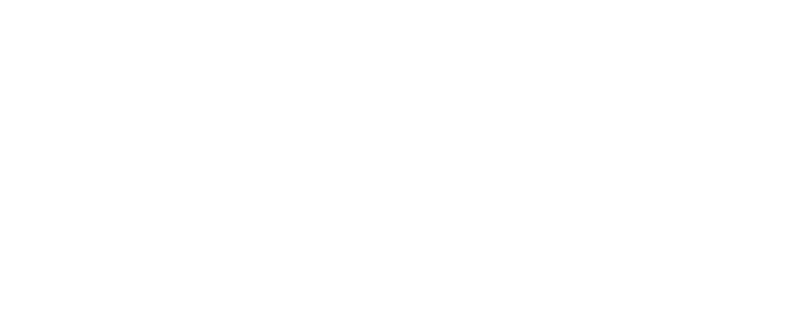Logo Academia de Líderes
